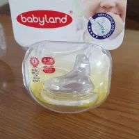 سرشیشه بی بی لند نو