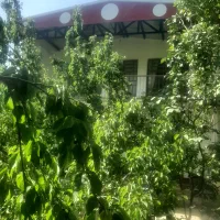 خانه باغ منشاد ۴۱۰ متری