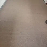 موکت ۱۷ متری سالم درحدنو