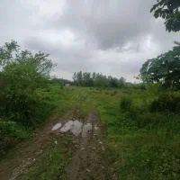 زمین باغی 650 متری دارای جاده سواری