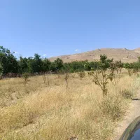 زمین-کشاورزی-آبی