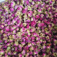 گل محمدی و غنچه گل محمدی خشک امسالی