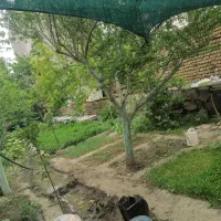 طبیعت گردی