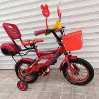 دوچرخه ۱۲ رنگ فابریک