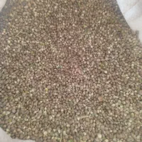 شاهدانه تمیز دوکیسه