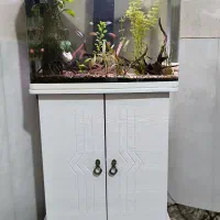 اکواریوم