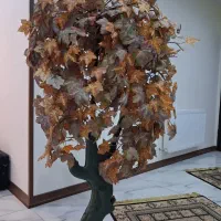 درختچه پاییزی