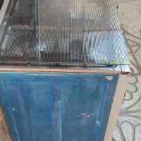 گاز فردار  تمام استیل
