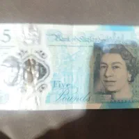 مرغ محلی گلین تخم گذار