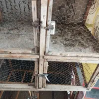 جفت گاه پرنده
