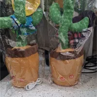 کاکتوس سخنگو