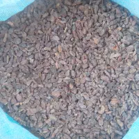 کشمش آفتابی بوانات عمده و خرده