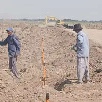 کارگر ساده جهت قطره چکان زدن برای درخت