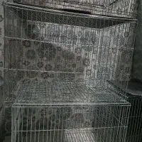 قفس جفت خون طرح جدید نو