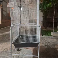 قفسه