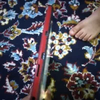 ملاشیه اهواز خ۱۶