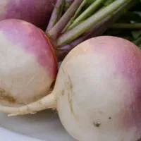 شلم درجه یک خارجی