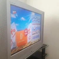 قفس و تلویزیون