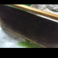 وسایل زنبور عسل(پوکه وچهارچوب آماده )