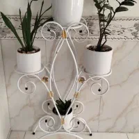 جاگلدونی