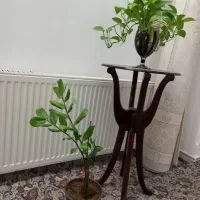 دوعدد گلدان