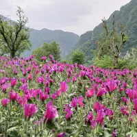 ساخت عکس پرسنلی در کمترین زمان. با قیمت مناسب