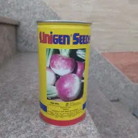 بذر شلغم یونیژن نیم کیلویی ۳۸۰