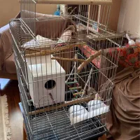 قفس حرفه ای با چال  استفاده نشده