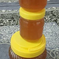 عسل کوه