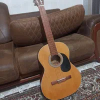 گیتار m5 نو