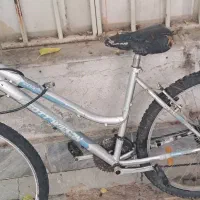 دوچرخه اسکات ویلسون
