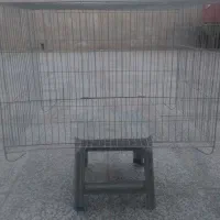 قفس