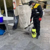 مجموعه سمپاشی حشرات سم پاشی موریانه ساس گال سوسک