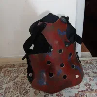 کمربند دیسک کمر