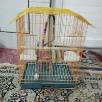 قفس پرنده