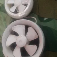 دوعدد فن