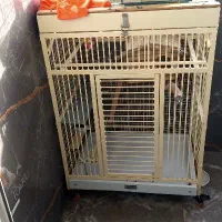 قفس پرنده