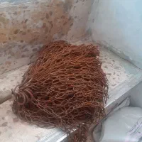 زنجیر سینه زنی