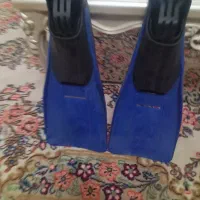 فین شنا