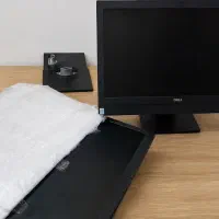 آل این وان  شوش دانیال