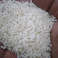 برنج ایرانی .شیروان