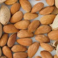 بادام درختی امسالی و خشک شده