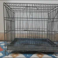 قفس سهره