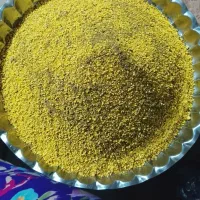 کشک زرد