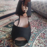 کفش مجلسی