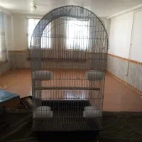 قفس پرنده