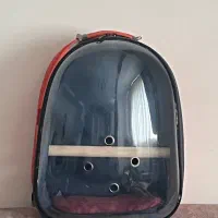 کیف پرنده