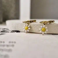 آفر بدلیجات