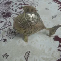 ماهی برنزه هست