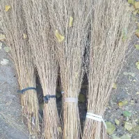 مقداری جارو برای فروش داریم